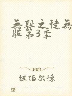 无耻之徒无删减版第3季