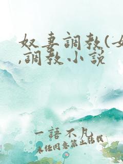 奴妻调教(女m,调教小说