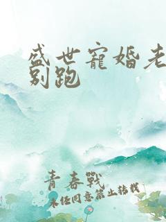 盛世宠婚老婆你别跑