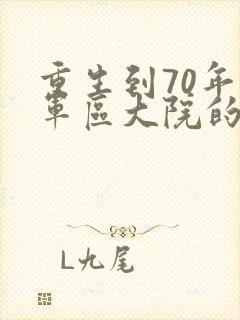 重生到70年代军区大院的小说