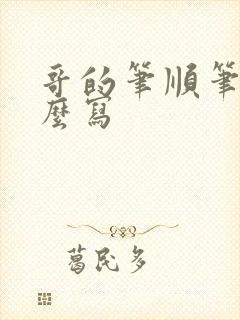 哥的笔顺笔画怎么写