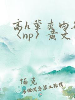 高h荤爽肉欲文〈np〉黄文