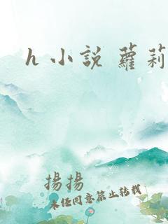 h 小说 萝莉
