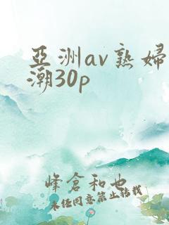 亚洲av熟妇高潮30p