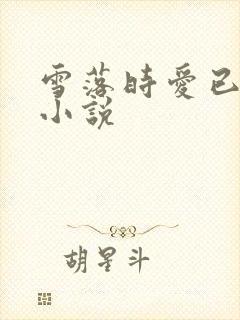 雪落时爱已落幕小说