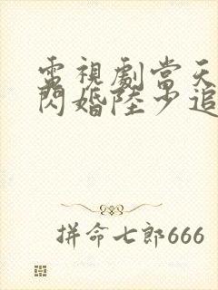 电视剧当天领证闪婚陆少追妻忙