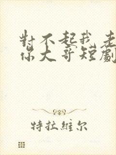 对不起我老公是你大哥短剧免费观看