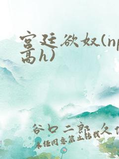 宫廷欲奴(np高h)