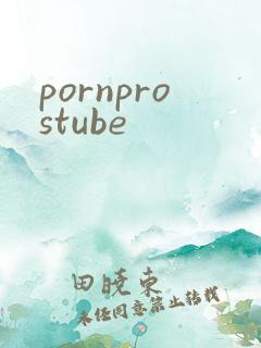 pornprostube
