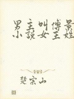 男主叫傅景琛的小说女主姓夏