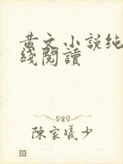 黄文小说纯肉在线阅读