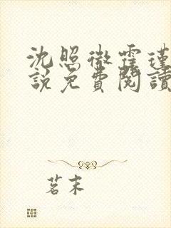 沈照微霍瑾舟小说免费阅读最新章节