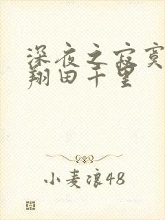 深夜之寂寞人妻翔田千里