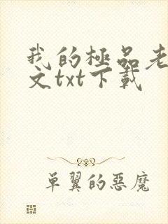 我的极品老婆全文txt下载