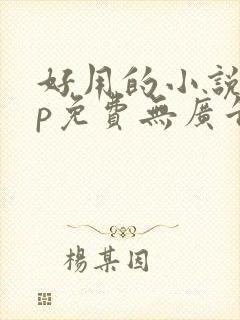 好用的小说app免费无广告