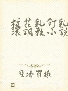 校花乳钉乳环蒂环调教小说