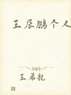 王辰鹏个人简介