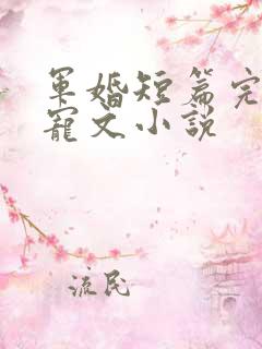 军婚短篇完结甜宠文小说