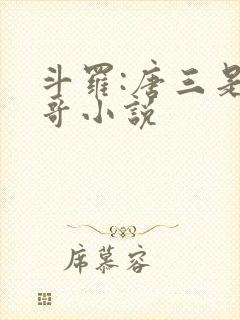 斗罗:唐三是我哥小说