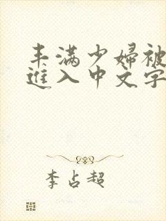 丰满少妇被猛烈进入中文字幕