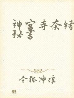 神宫寺奈绪人妻秘书