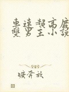 车速超高废文的双男主小说推荐短篇