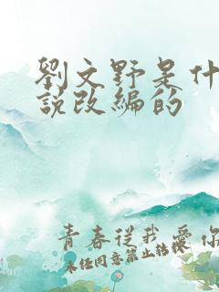 刘文野是什么小说改编的