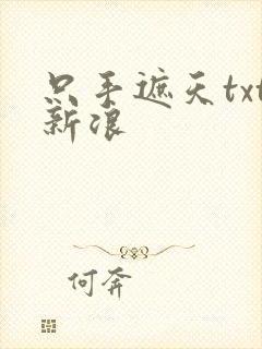 只手遮天txt新浪