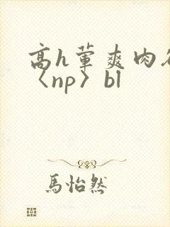 高h荤爽肉欲文〈np〉bl