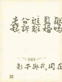 老公进监狱可以起诉离婚吗