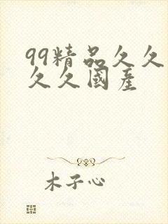 99精品久久久久久国产