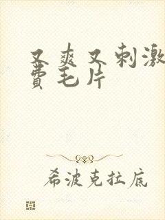 又爽又刺激的免费毛片