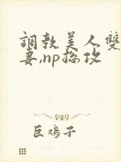 调教美人双性男妻,np总攻