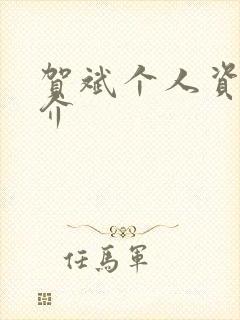 贺斌个人资料简介