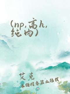 (np,高h,纯肉)