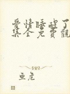 爱情睡醒了40集全免费观看电视剧西瓜