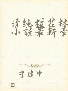 清纯校花林幼然小说最新章节