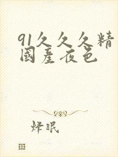 91久久久精品国产夜色