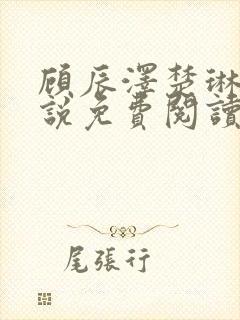 顾辰泽楚琳薇小说免费阅读最新章节