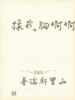 揉我胸啊啊啊啊