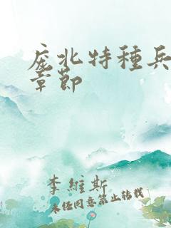 庞北特种兵最新章节