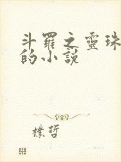 斗罗之灵珠神剑的小说