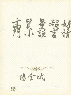 高质量超好看冷门小说言情