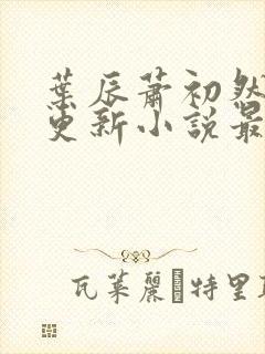 叶辰萧初然最快更新小说最新章节