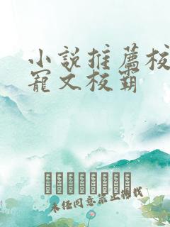 小说推荐校园甜宠文校霸