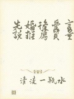 先婚后爱言情小说推荐质量好