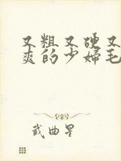 又粗又硬又大又爽的少妇毛片