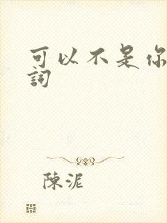 可以不是你 歌词