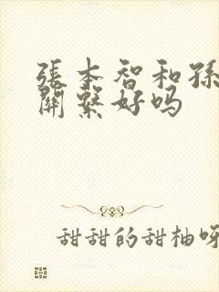 张本智和孙颖莎关系好吗