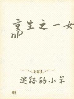 重生之一女九龙nP
